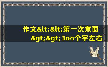 作文<<第一次煮面>>3oo个字左右